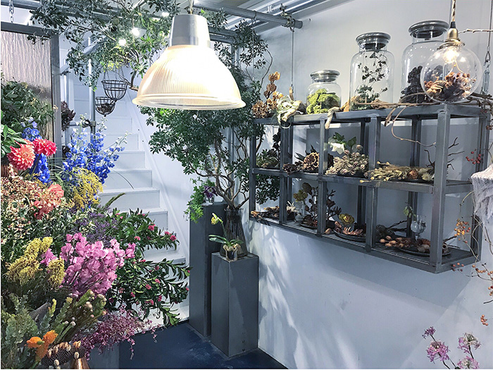 bionic plants